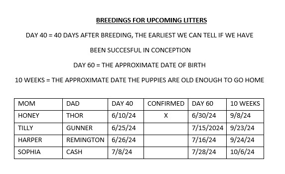 Current Breeding List